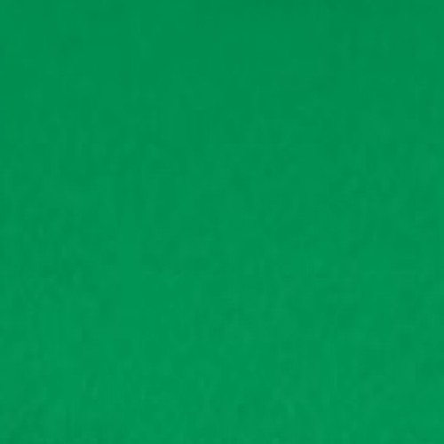 Tissu Plain poplin   sapin